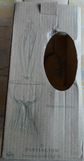 Dartington hyacinth vase box