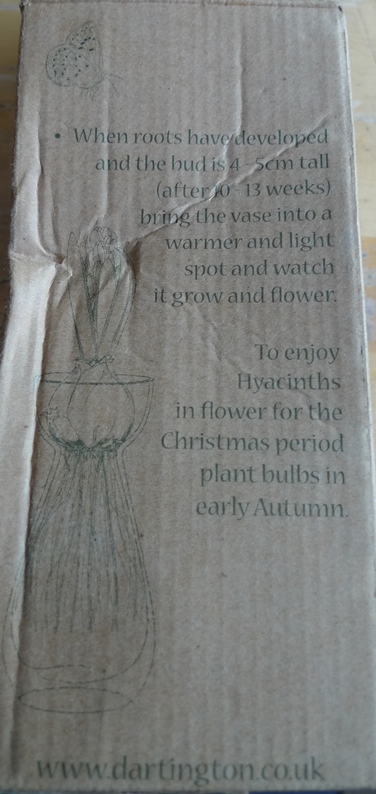 Dartington hyacinth vase box