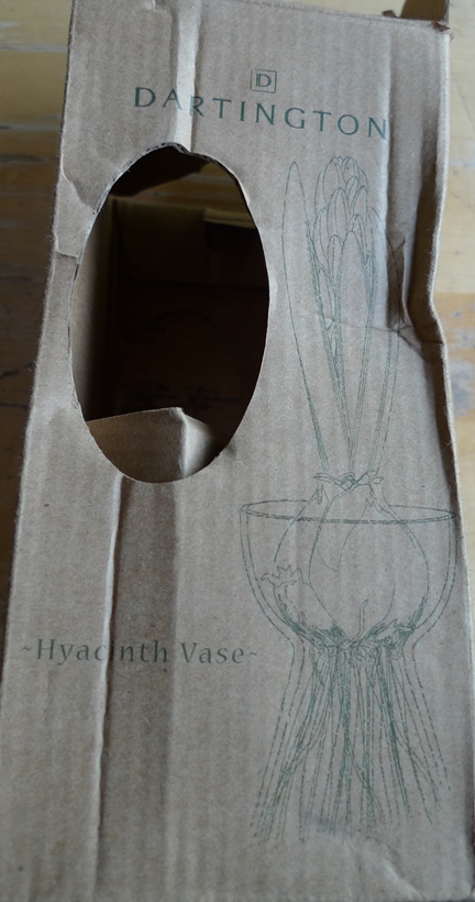 Dartington hyacinth vase box