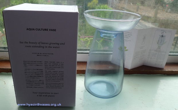 Kinto Aqua Culture hyacinth vase