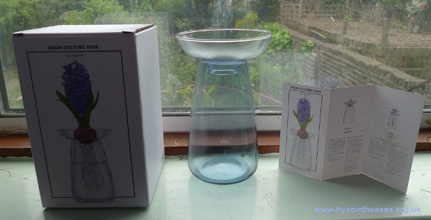 Kinto Aqua Culture hyacinth vase