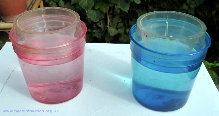 Stewart hyacinth vase