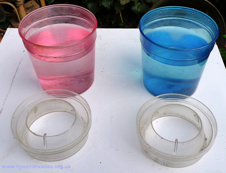 Stewart hyacinth vases