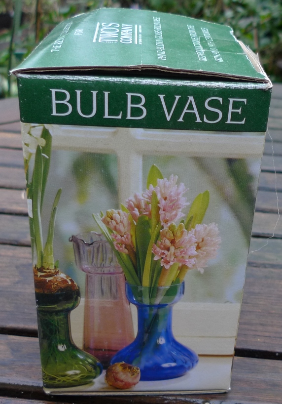 two's company hyacinth vase box