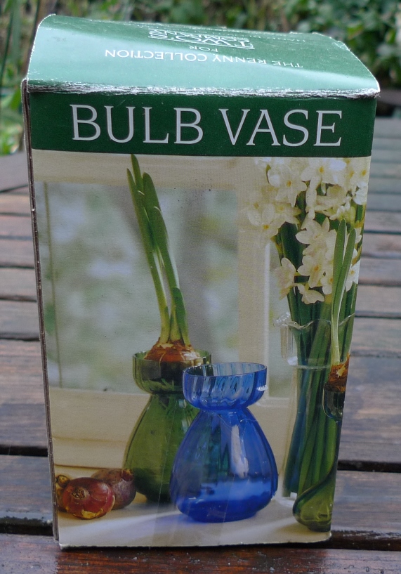 two's company hyacinth vase box