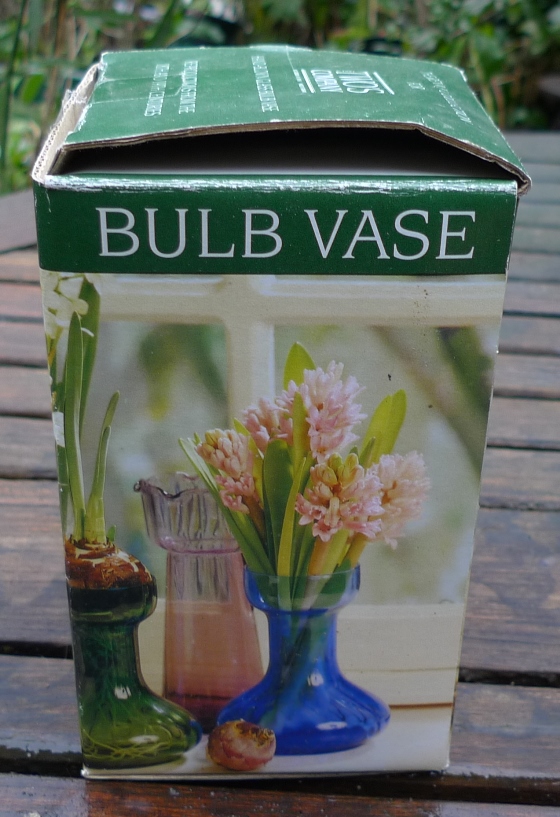 two's company hyacinth vase box