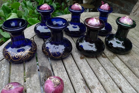 Tye hyacinth vases