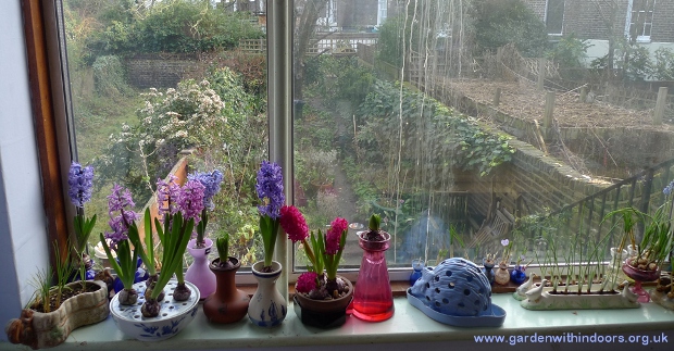 wedgwood hedgehog crocus pot