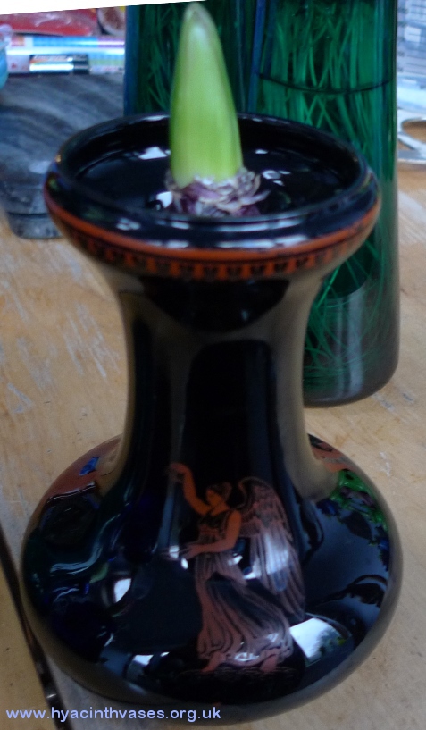 black painted terracotta hyacinth vase
