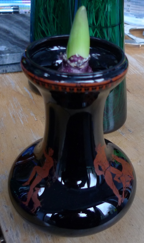 black painted terracotta hyacinth vase