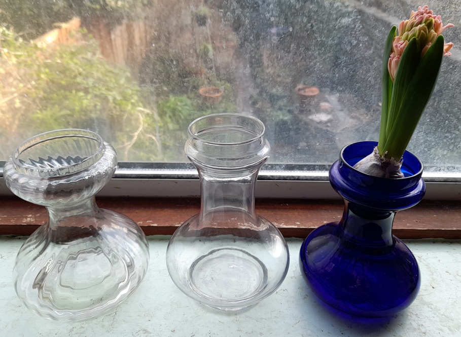 hyacinth vases