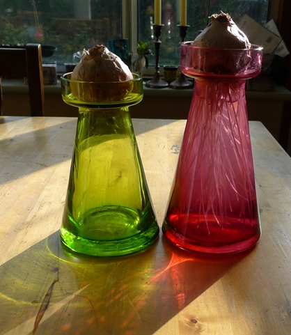 glassroots hyacinth vases