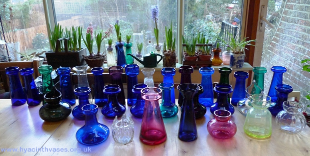hyacinth vases