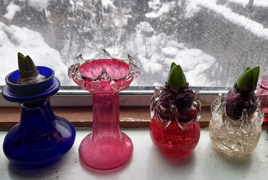 hyacinth vases with pronged trailing