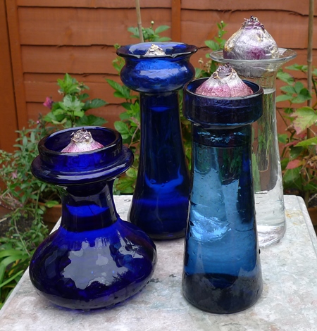 hyacinth vases