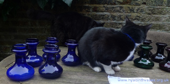 antique squat bulbous hyacinth vases